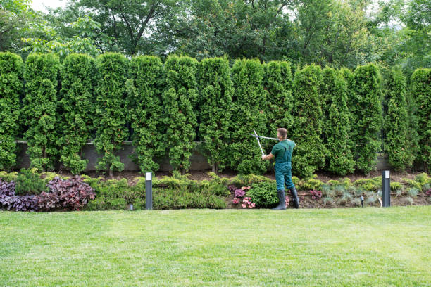 Best Lawn Irrigation Installation and Maintenance  in Upper Pohatcong, NJ